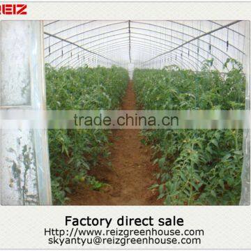 Cheap decorative greenhouse