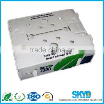 fresh vegetables corrugated plastic shipping container