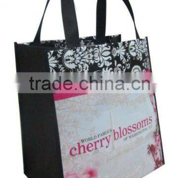 PP non woven laminated bag