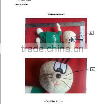 Toys Safety Test Report