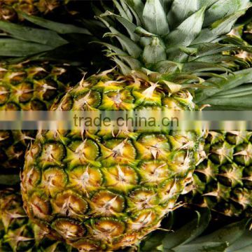 Fresh Bhulae Pineapple