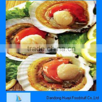 Low price of scallop