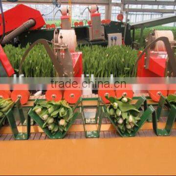 Norwayho Elastic Twine for Flower Binding photo-2