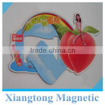 magnetic fridge photo frames