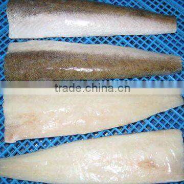 frozen Pacific hake fillet