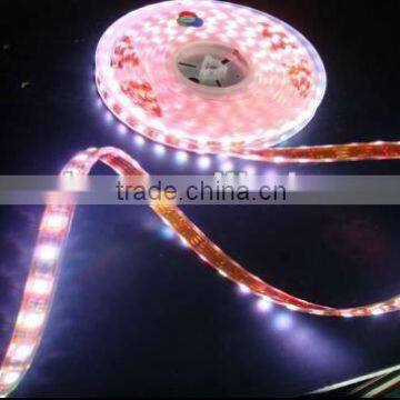 SMD3528 RGB led strip light