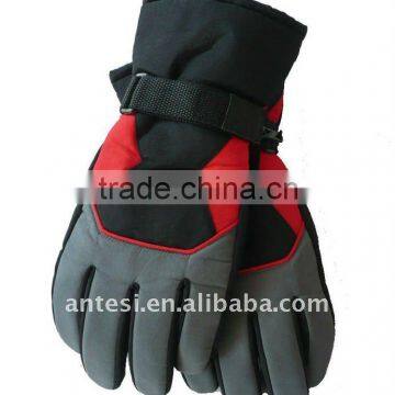 Ski Gloves