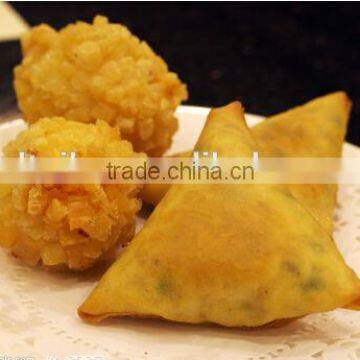 Chinese Supplier Automatic India Small Samosa Making Machine Price photo-4