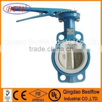Concentric Butterfly Valve