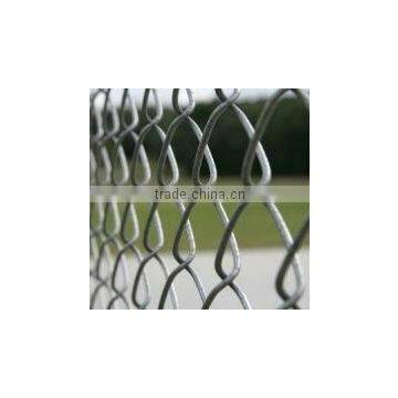 PVC Coated Woven Wire Mesh(Quick Delivery)