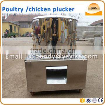 Cheap price 304 stainless steel Chicken plucker machine for sale / chicken plucking machine