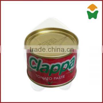 Professional tomato paste factory 70gX50tins