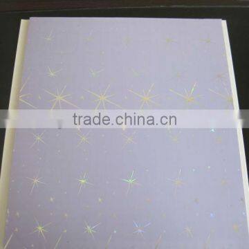 25CM*6MM Pvc Ceiling Wall Panel photo-3