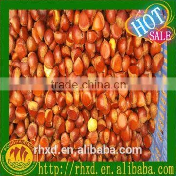 2015 snack foods vacuum packed roasted chestnuts/tianjin roasted chestnuts/organic roasted chestnuts for sale