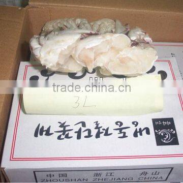 Frozen Half Cut Crab Cutting Swimming Crab photo-3