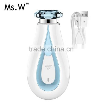 China beauty equipment USB rechargeable handy nano facial mist sprayer