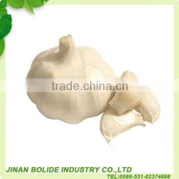 China Fresh Normal White Garlic Can Provide photo-2