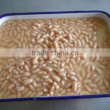 Canned White Kidney Beans