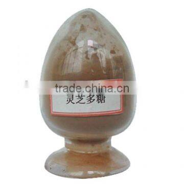 High Quality Natural Ganoderma Lucidum Spore Extract photo-4