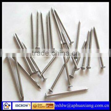 ISO 9001:2008 High Quality And Low Price Wire Nail