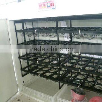 MJT-2 mujia 108 eggs automatic OSTRICH egg incubator for hot hot hot sale