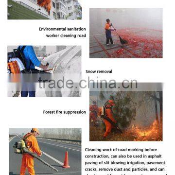 China Factory Supply High Pressure Blower photo-6