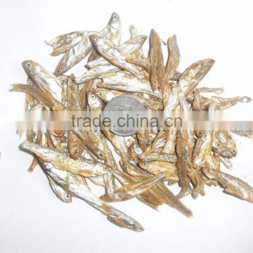 High Nutrition Types of Dried Fish Dry Cat Food photo-2