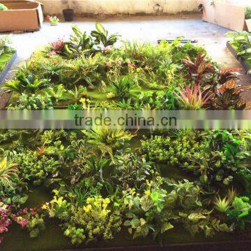 Home garden wedding decoration 200cm*100cm green original succulent with moss carpet grass wall artificial plant E03 0505