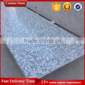 Popular Bala white G439 grey granite countertop