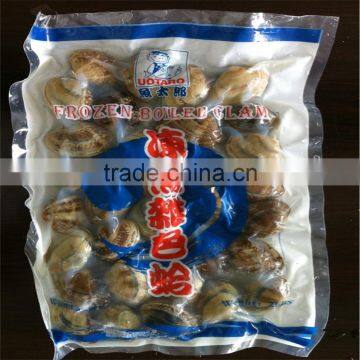 Frozen Vacuum Packed Cooked Short Necked Clam photo-5
