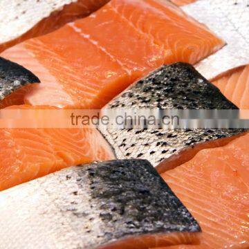 Atlantic Salmon photo-4