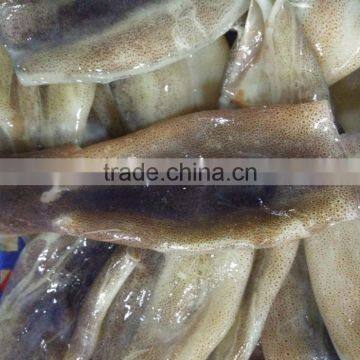 Zhengyuan Frozen Illex Squid Tube photo-2
