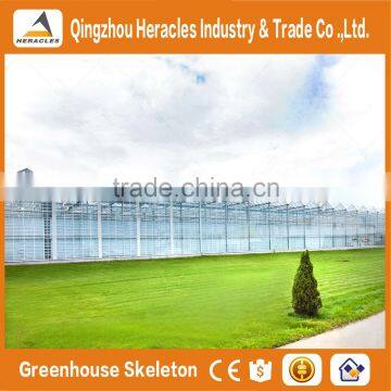 Heracles Gothic Glass Greenhouse for Strawberry photo-2