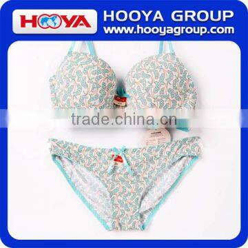 Woman Bra Set Underwear Sexy And Fashion Girls Bra Set