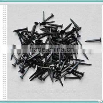 Shoe Nail photo-4