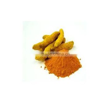 Curcumin Colors