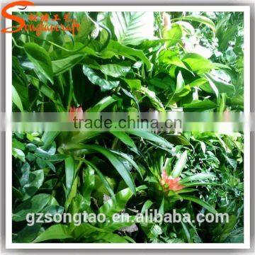 Hot Sale Artificial Green Wall New Design Artificial Geass Wall Plastic Artificial Green Wall photo-6