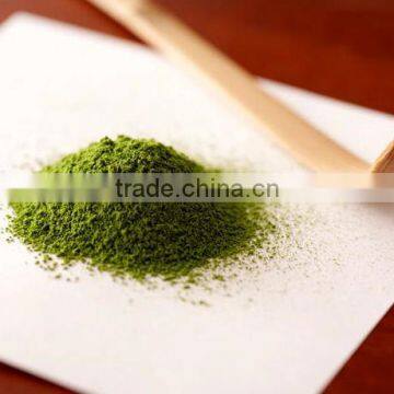 Best Quality Food Grade Beverage Material Weight Lose Green Tea Powder