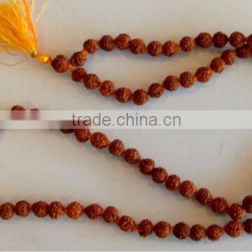 5 MUKHI Rudraksha beads mala