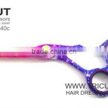 Fames Art B/p Hair Scissors