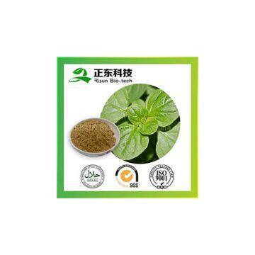Origanum Herb Extract for antibacterial and improve immune
