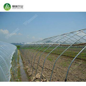 Hot Sale Commercial Polycarbonale Small Single Span Greenhouse photo-3