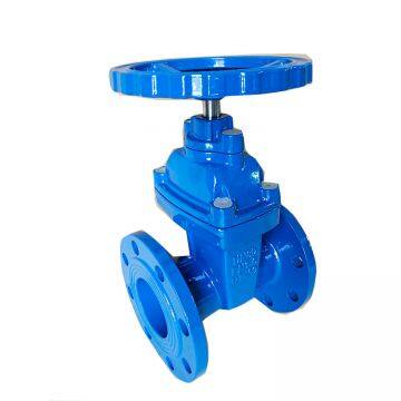 DIN 3352 F4 NRS Ductile Iron Gate Valve , Sluice Gate Valve,rubber Seal Gate Valve photo-3