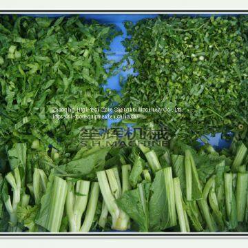 Double Head Leaf Vegetable Cutting Machine Fruit Slicing Shredder Dicing Equipment photo-5