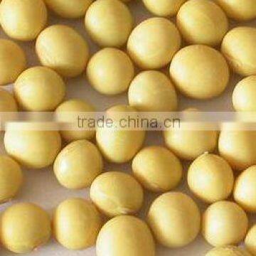 Organic soybeans