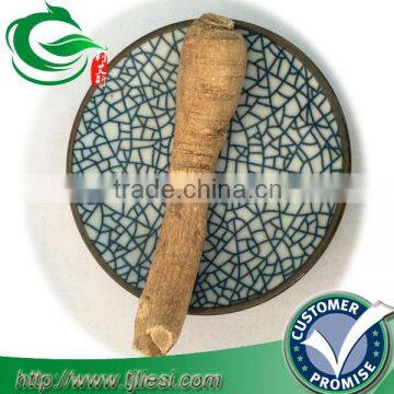 panax ginseng/dried ginseng root /ginseng root/red ginseng