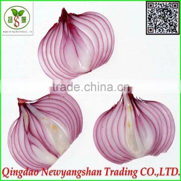 fresh onion in mesh bag