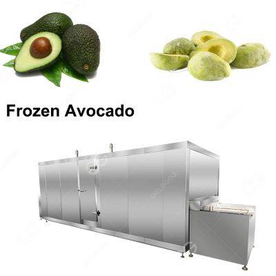 Hihgh Quality IQF Quick Freezing Process Frozen Food/Avocado Freeze Machine Price