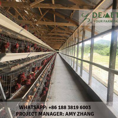 Layer Farming Cage photo-5