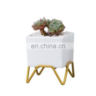 Mini Gold Pot Indoor Creative Wholesale Ceramic White Europe Square Decorative Creamic Flowers Small Nursery Luxury Flower Pots